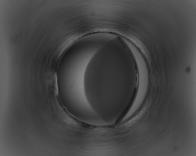 X0000091500993200708301954