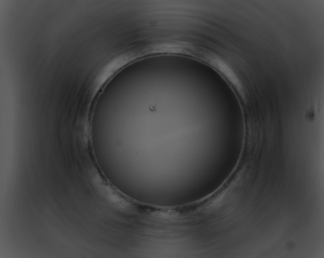 X0000091500994200708301954