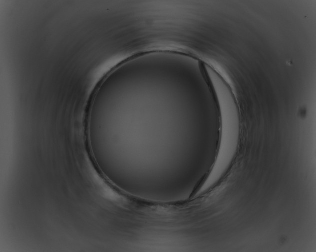 X0000091500995200708301954