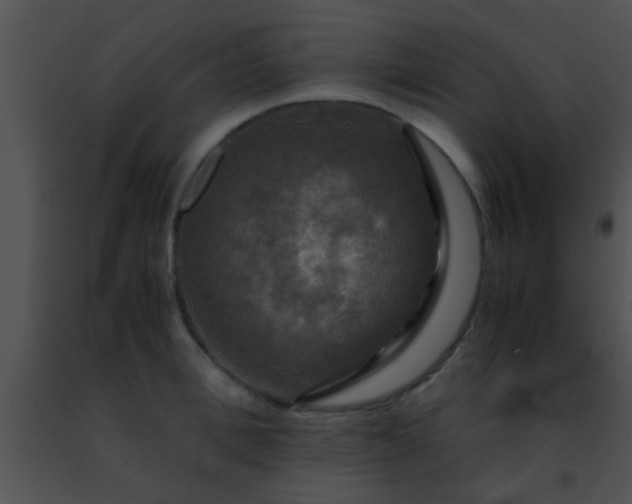 X0000091500996200708301954