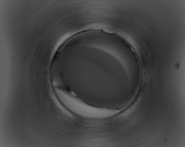 X0000091500997200708301954