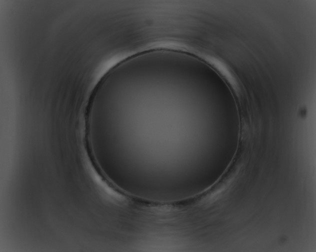 X0000091500999200708301954