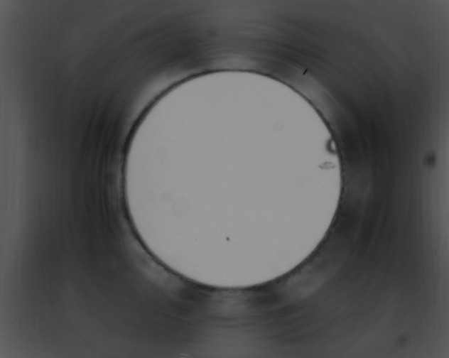 X0000091501000200708301954