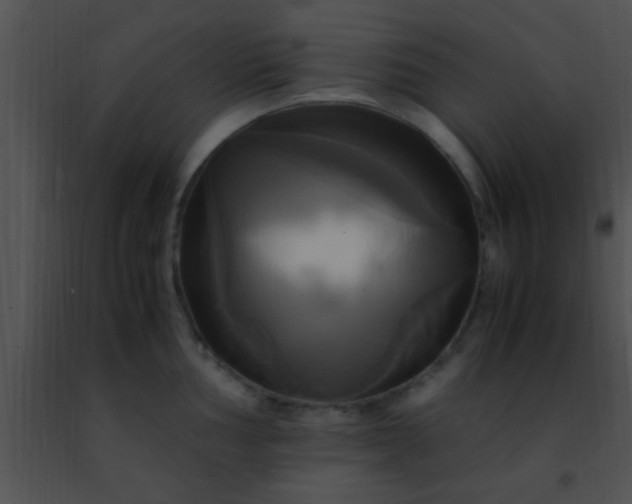 X0000091501002200708301954