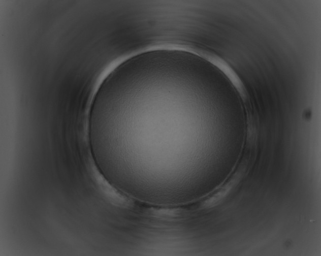 X0000091501004200708301954