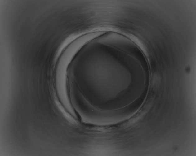 X0000091501005200708301954