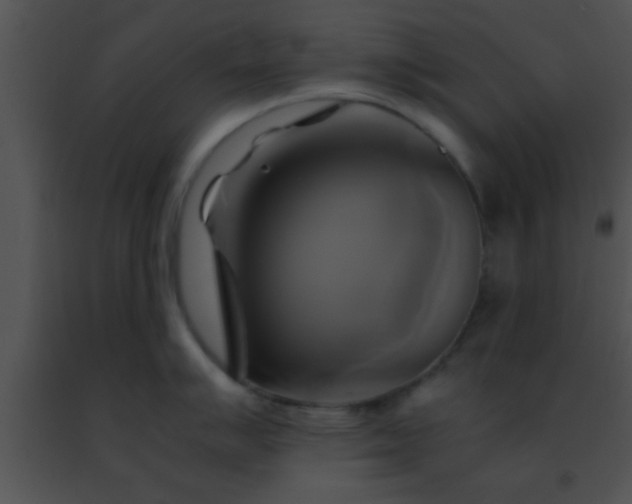 X0000091501007200708301954