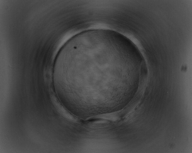 X0000091501008200708301954