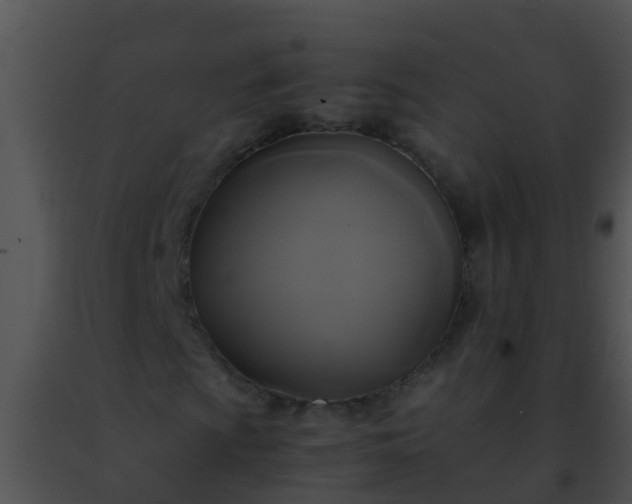 X0000091501009200708301953