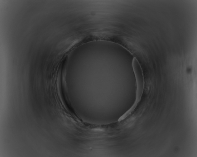 X0000091501010200708301953