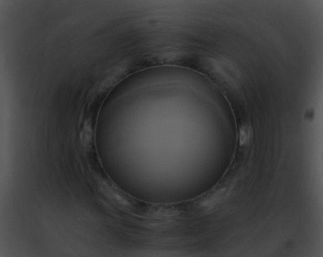 X0000091501011200708301953