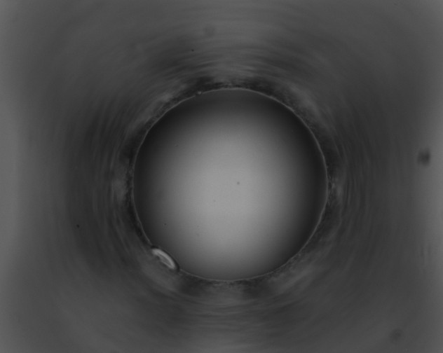 X0000091501012200708301953