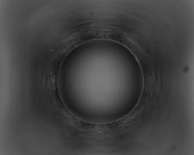 X0000091501013200708301953