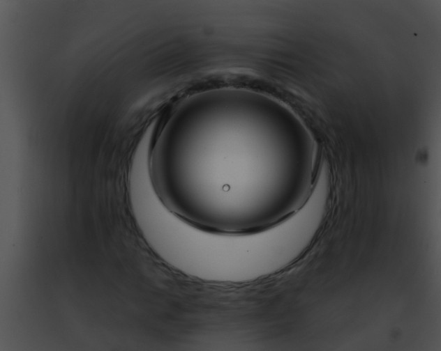 X0000091501014200708301953