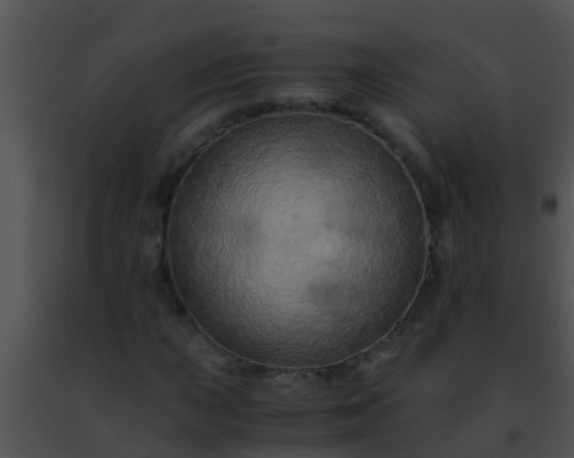 X0000091501015200708301953