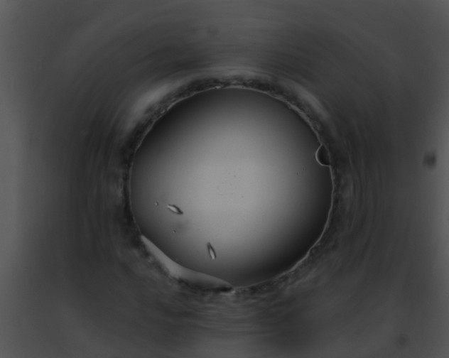 X0000091501016200708301953