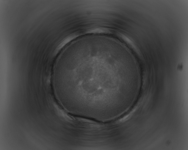 X0000091501017200708301953