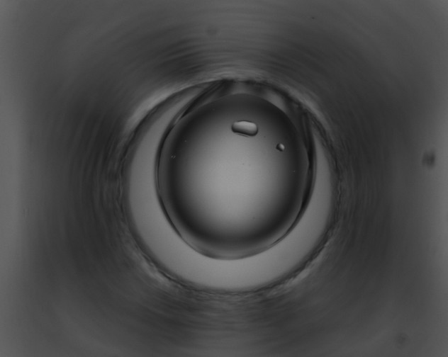 X0000091501018200708301953