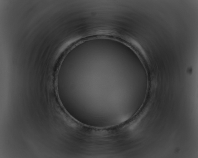 X0000091501019200708301953