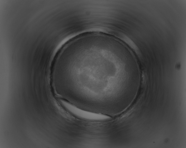 X0000091501020200708301953