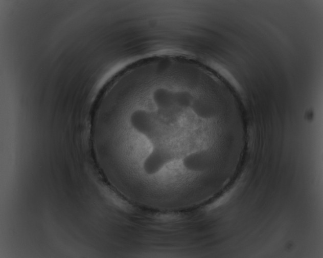 X0000091501021200708301953