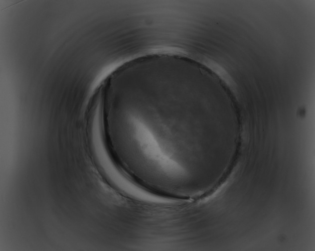 X0000091501022200708301953