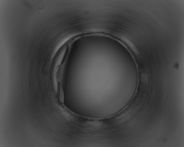 X0000091501023200708301953