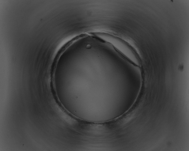 X0000091501024200708301953