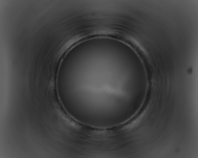 X0000091501025200708301953