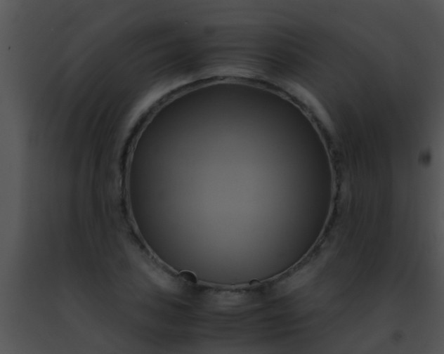 X0000091501027200708301953