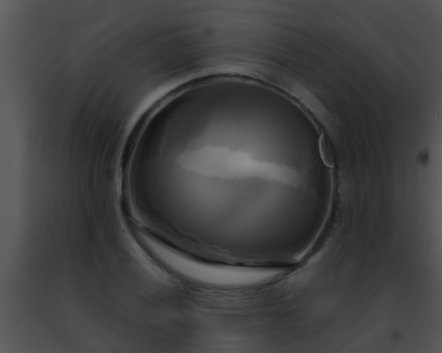 X0000091501028200708301953