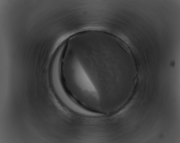 X0000091501030200708301953