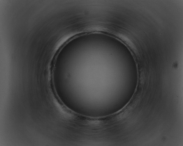 X0000091501031200708301953