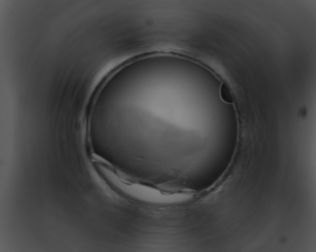 X0000091501032200708301953