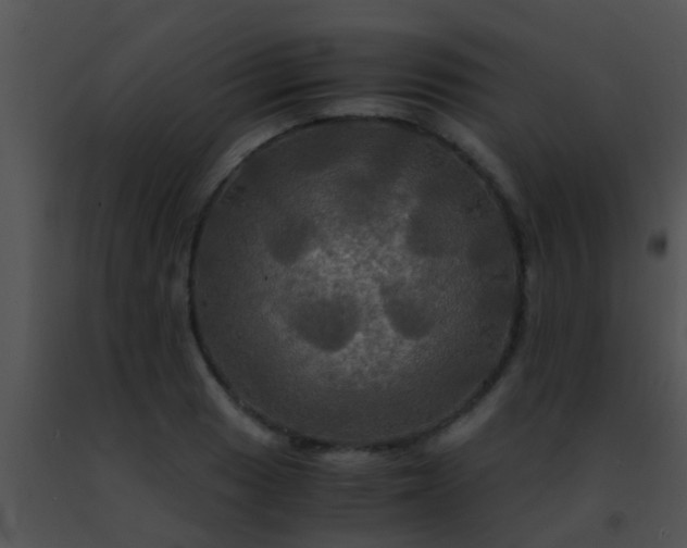 X0000091501033200708301953