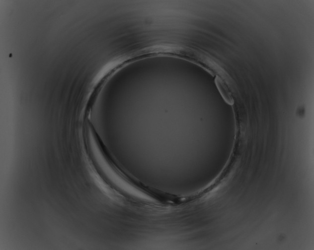 X0000091501034200708301953