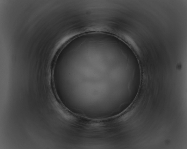 X0000091501035200708301953