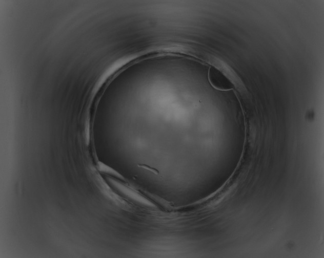 X0000091501036200708301953