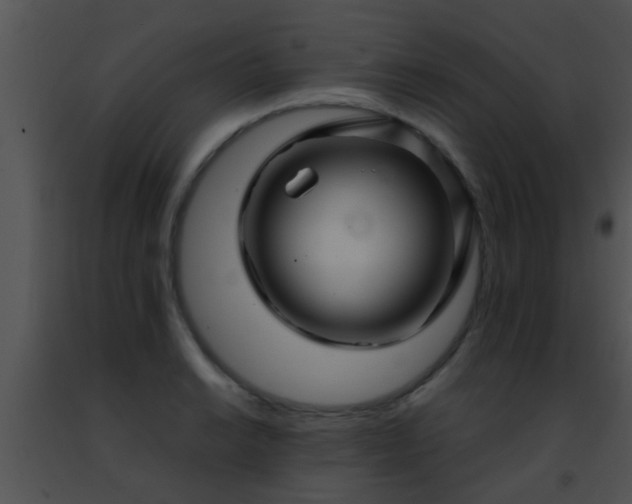 X0000091501038200708301953