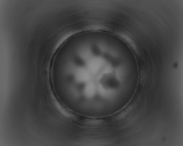 X0000091501039200708301953