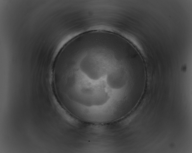 X0000091501040200708301953