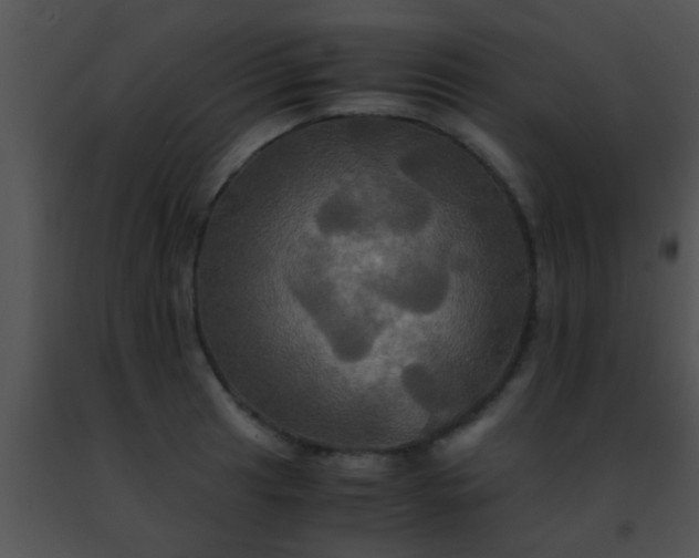 X0000091501041200708301954