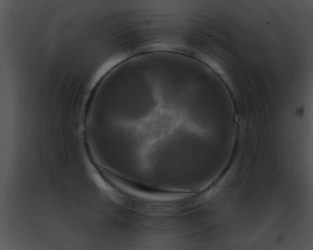 X0000091501042200708301954