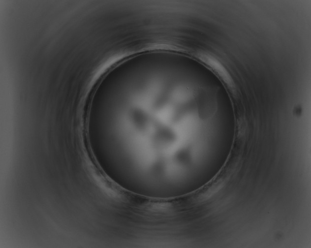 X0000091501043200708301954