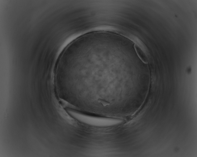 X0000091501044200708301954