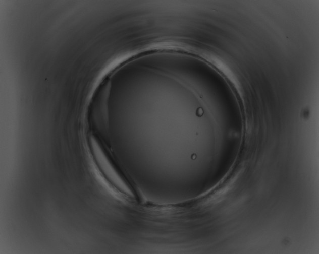 X0000091501045200708301954