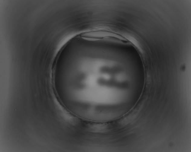 X0000091501047200708301954