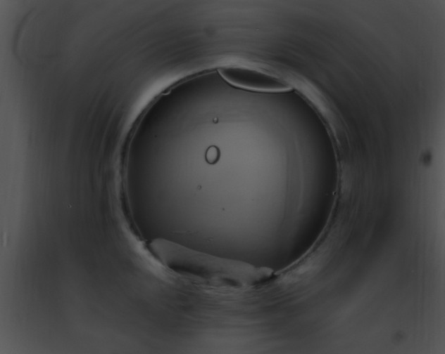 X0000091501048200708301954