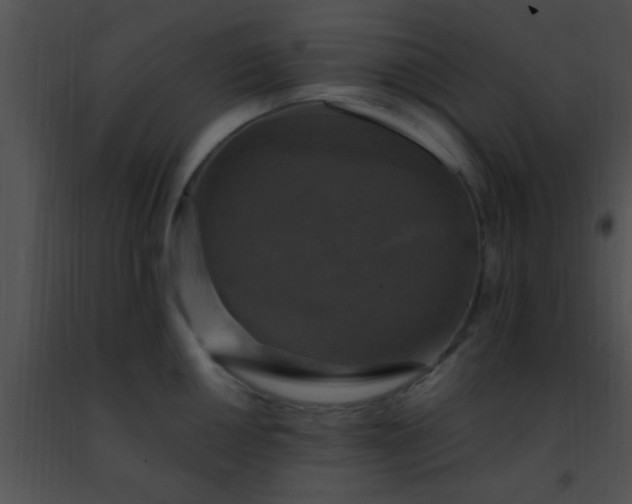 X0000091501050200708301954