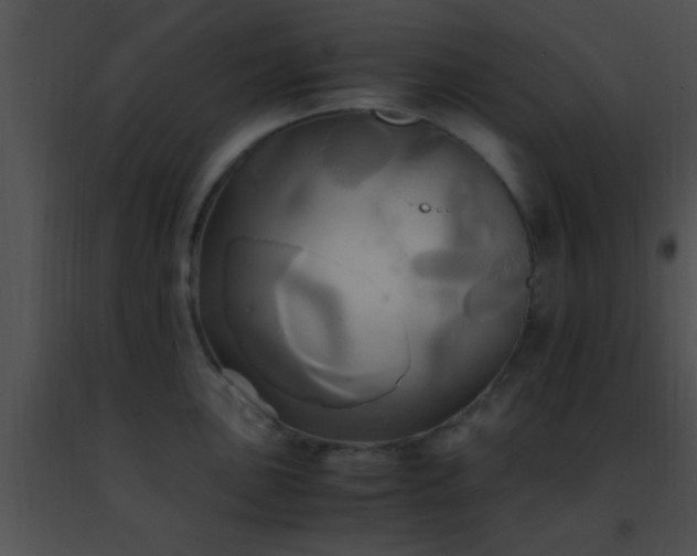 X0000091501051200708301954